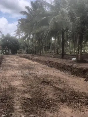 අනුරාධපුර කුරුණෑගල ප්‍රධාන පාරෙන් ඉඩමක් විකිණීමට