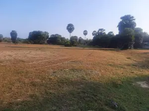 Commercial Land for Sale Mannar