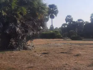Commercial Land for Sale Mannar
