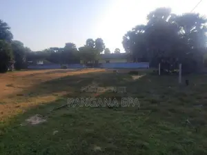 Commercial Land for Sale Mannar