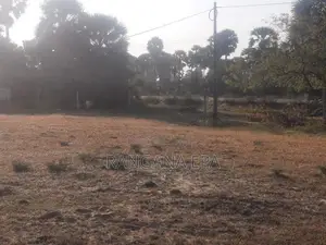 Commercial Land for Sale Mannar