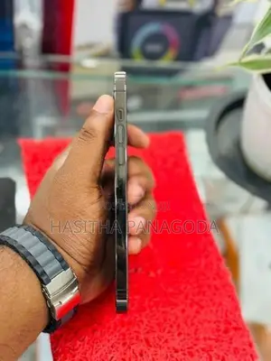 Apple iPhone 13 Pro Max (Used)