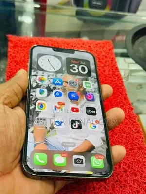 Apple iPhone 13 Pro Max (Used)