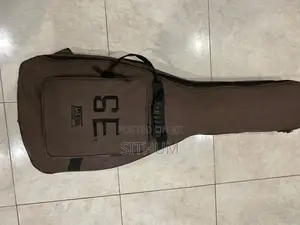Guitar - PRS SE Custom 24 Korea