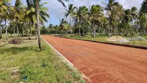 නාච්චාදූව බිම්කොටස්