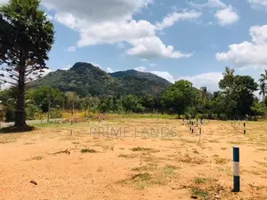 දඹුල්ල නුවර පාරෙන් සින්නක්කර බිම්කොටසක් විකිණීමට