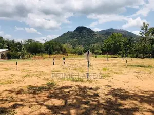 දඹුල්ල නුවර පාරෙන් සින්නක්කර බිම්කොටසක් විකිණීමට