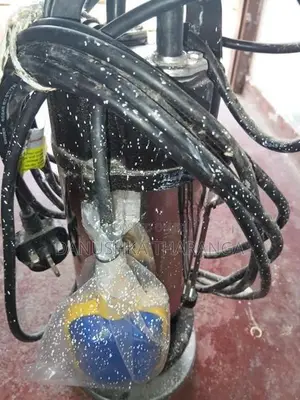 Singer Submersible Pump Clean Water Series 1HP