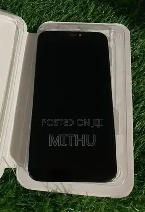 Apple iPhone X Display