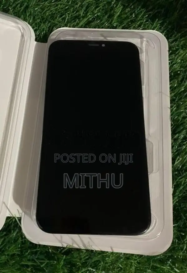 Apple iPhone X Display