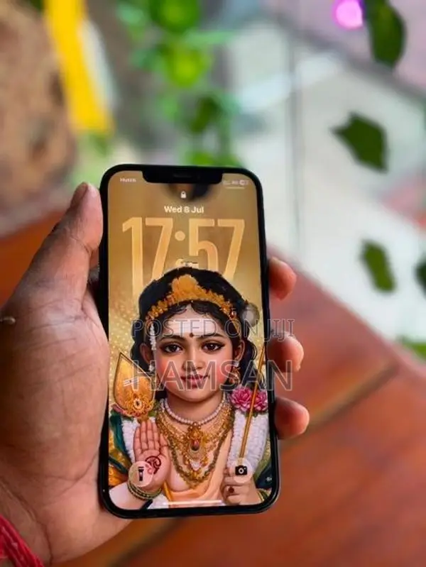 Apple iPhone 12 (Used)