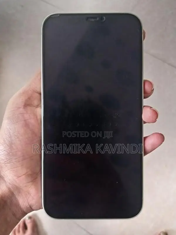 Apple iPhone 12 (Used)