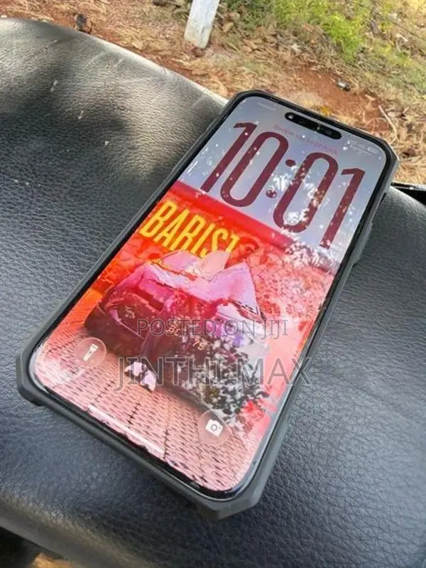 Apple iPhone 15 Pro Max 256GB (Used)