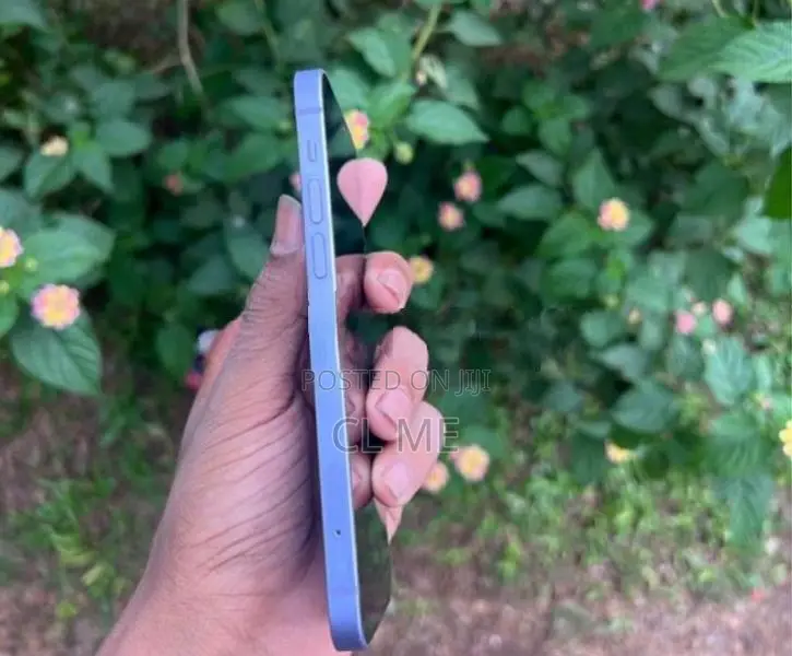 Apple iPhone 12 64GB (Used)