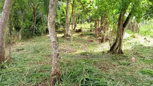 Land for Sale in Kandy