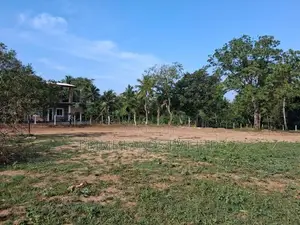 Land for Sale in Dambulla Town Area