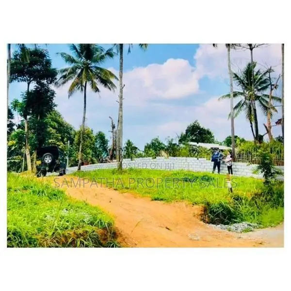 පිළිමතලාවේ දන්‍තුරේ පාරේ පර්චස් 12ක ඉඩම විකිණීමට