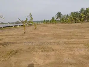 අනුරාධපුර සින්නක්කර බිම්කොටසක් නාච්චාදූවෙන්