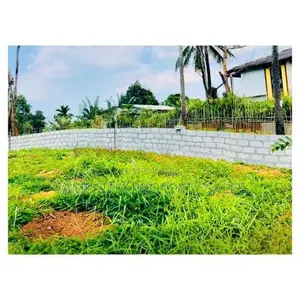 පිළිමතලාවේ දන්‍තුරේ පාරේ පර්චස් 12ක ඉඩම විකිණීමට