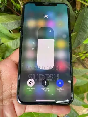 Apple iPhone XS Max (Used)