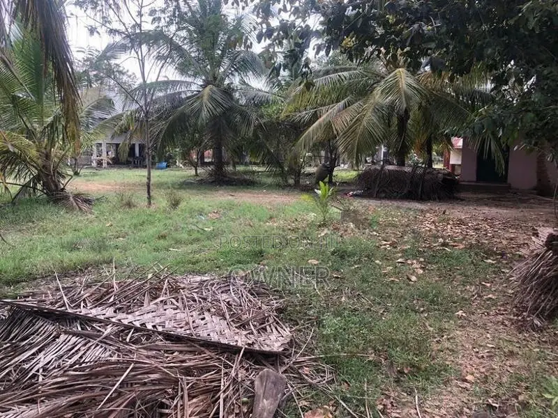 Farm Lands For Sale In Puttalam City