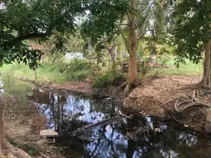 Farm Lands For Sale In Puttalam City