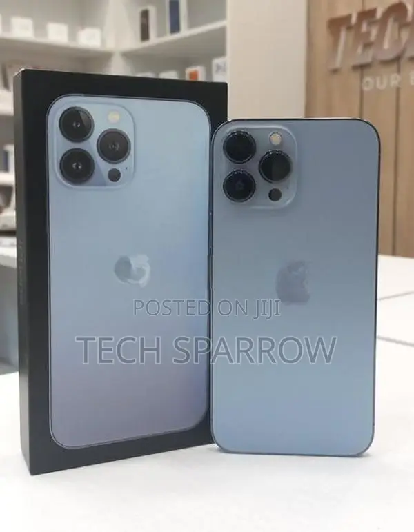 Apple iPhone 13 Pro Max 256GB (Used)