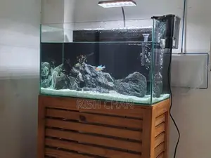 Fish Tank