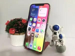Apple iPhone 12 Pro Max 512GB (Used)