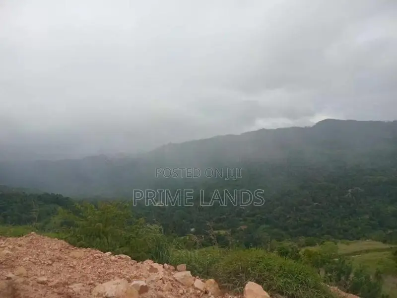 Land for Sale Nillamba