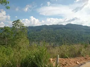 Land for Sale Nillamba