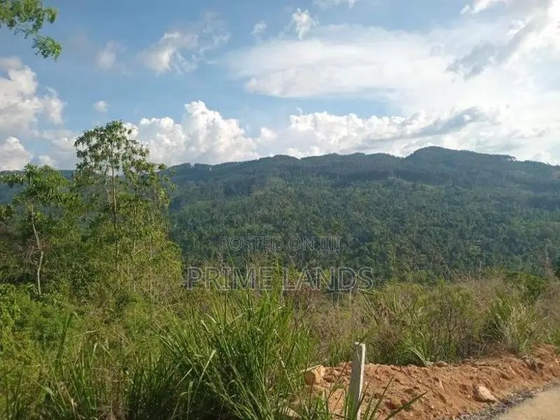 Land for Sale Nillamba