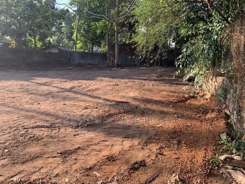 20 Perches Residential Land in Piliyandala | SL14839