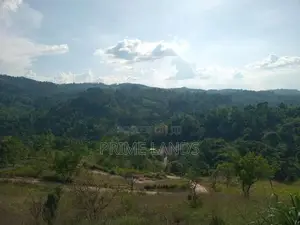 Land for Sale Nillamba