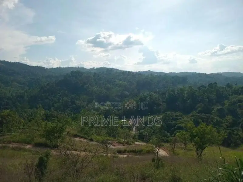 Land for Sale Nillamba