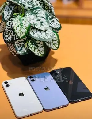 Apple iPhone 11 128GB (Used)