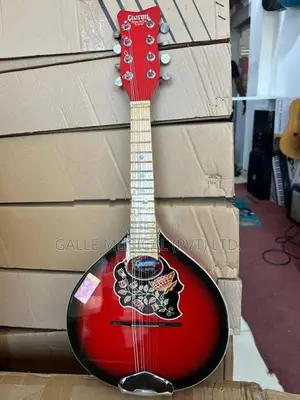 Givson Mandolin