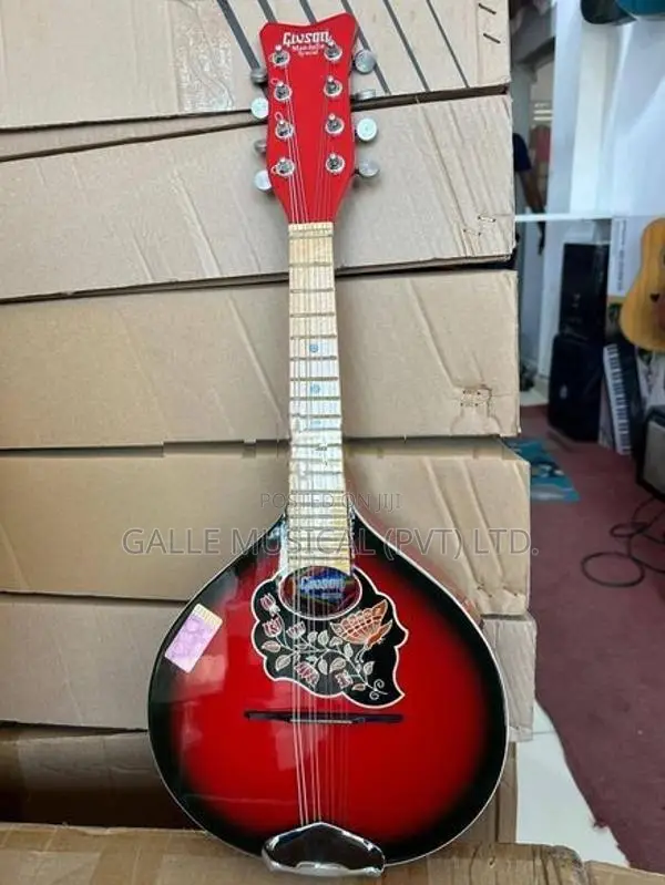 Givson Mandolin