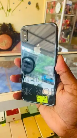 Apple iPhone X 256GB (Used)