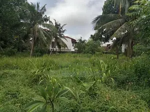 Premium Land for Sale Boralesgamuwa