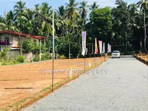 පිටිපනින් වටිනා බිම් කොටසක්