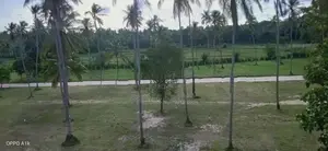 Land In Wariyapola