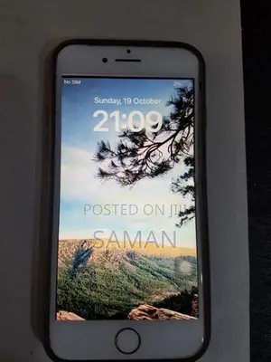 Apple iPhone 8 (Used)