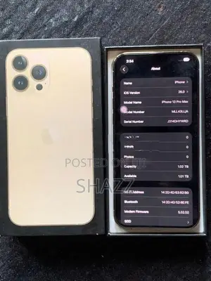 Apple iPhone 13 Pro Max 1TB (Used)