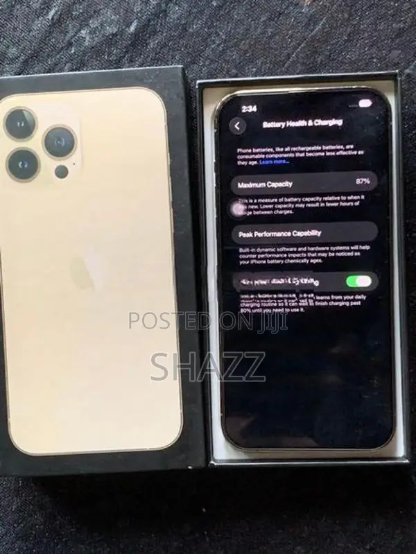 Apple iPhone 13 Pro Max 1TB (Used)