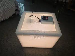 Egg Incubator