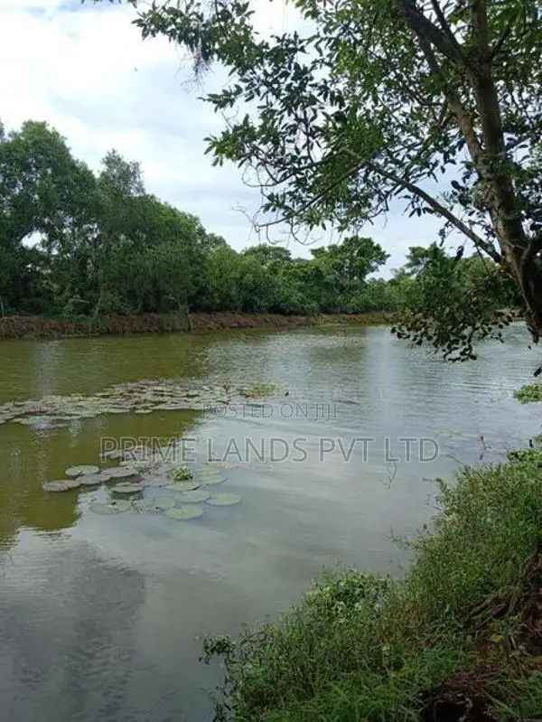 River Facing Land for Sale in Nawala