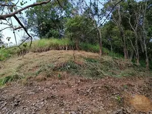 Land for Sale Galgediyawa