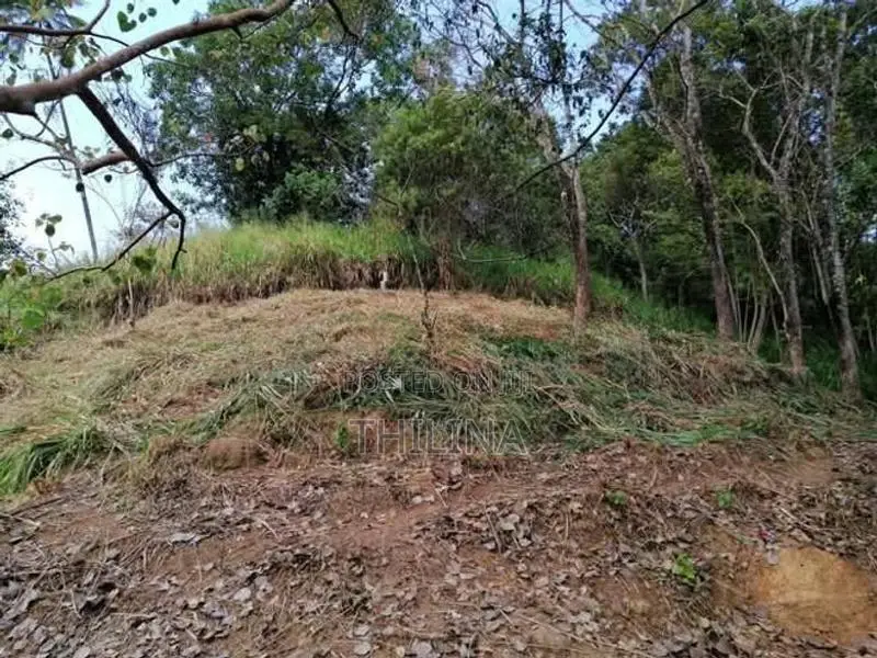 Land for Sale Galgediyawa