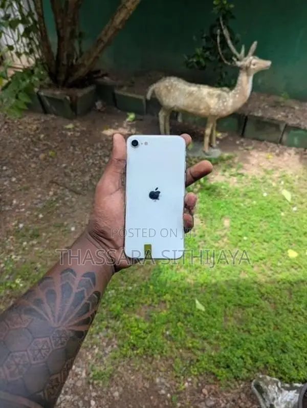 Apple iPhone SE 2 (Used)